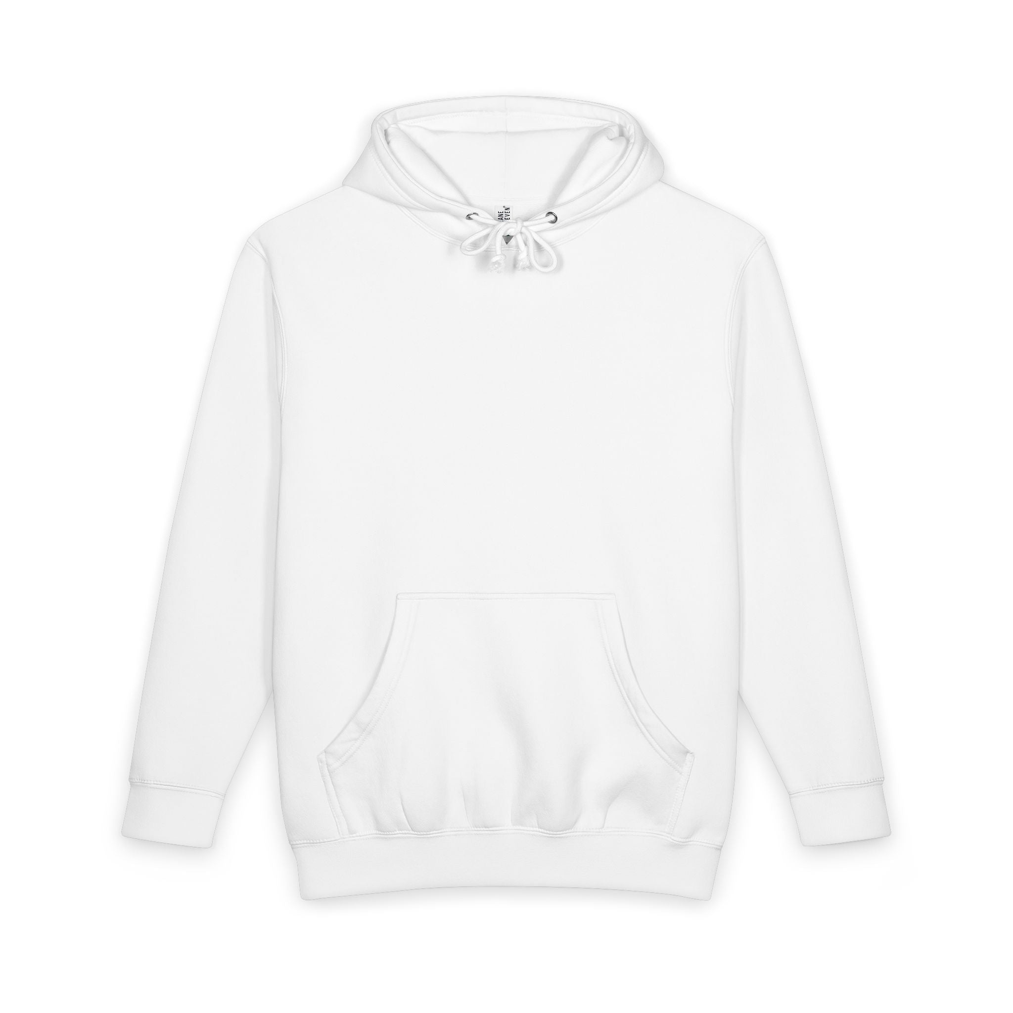 Shitting on the Front Porch Step Hoodie