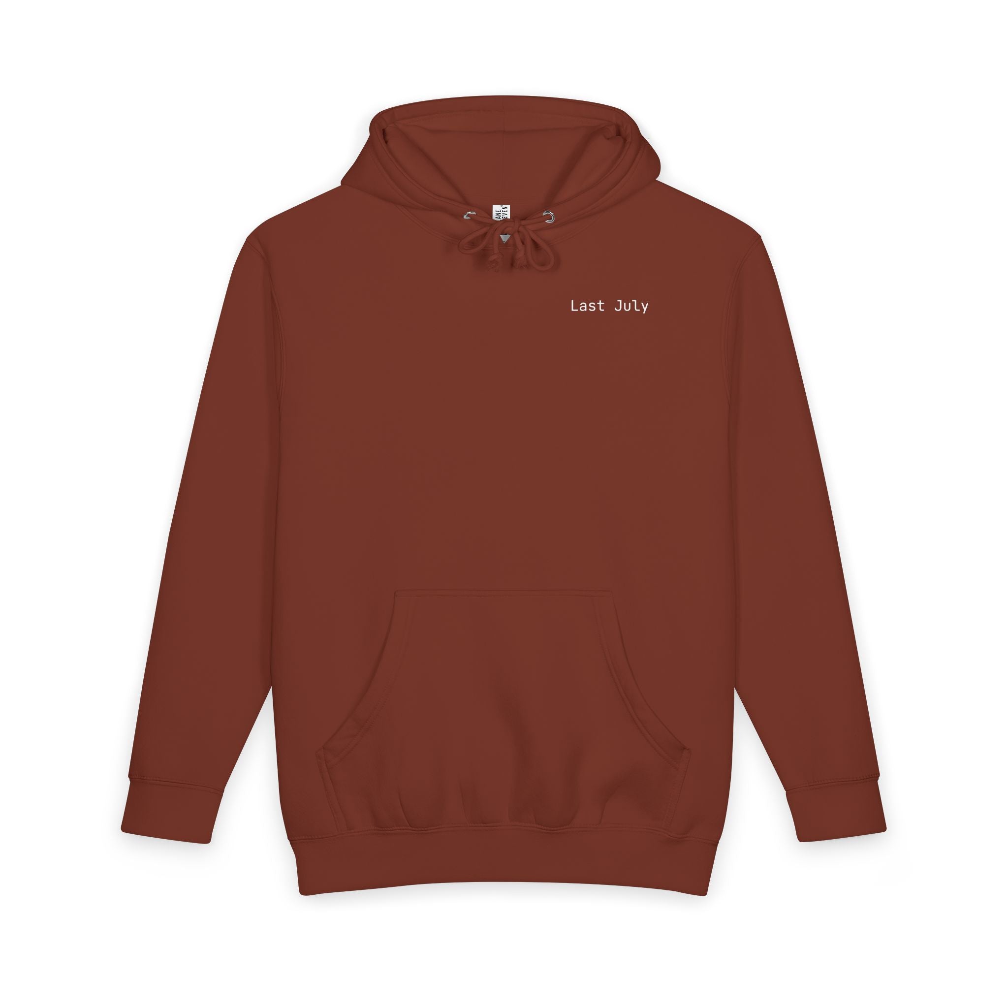 Shitting on the Front Porch Step Hoodie