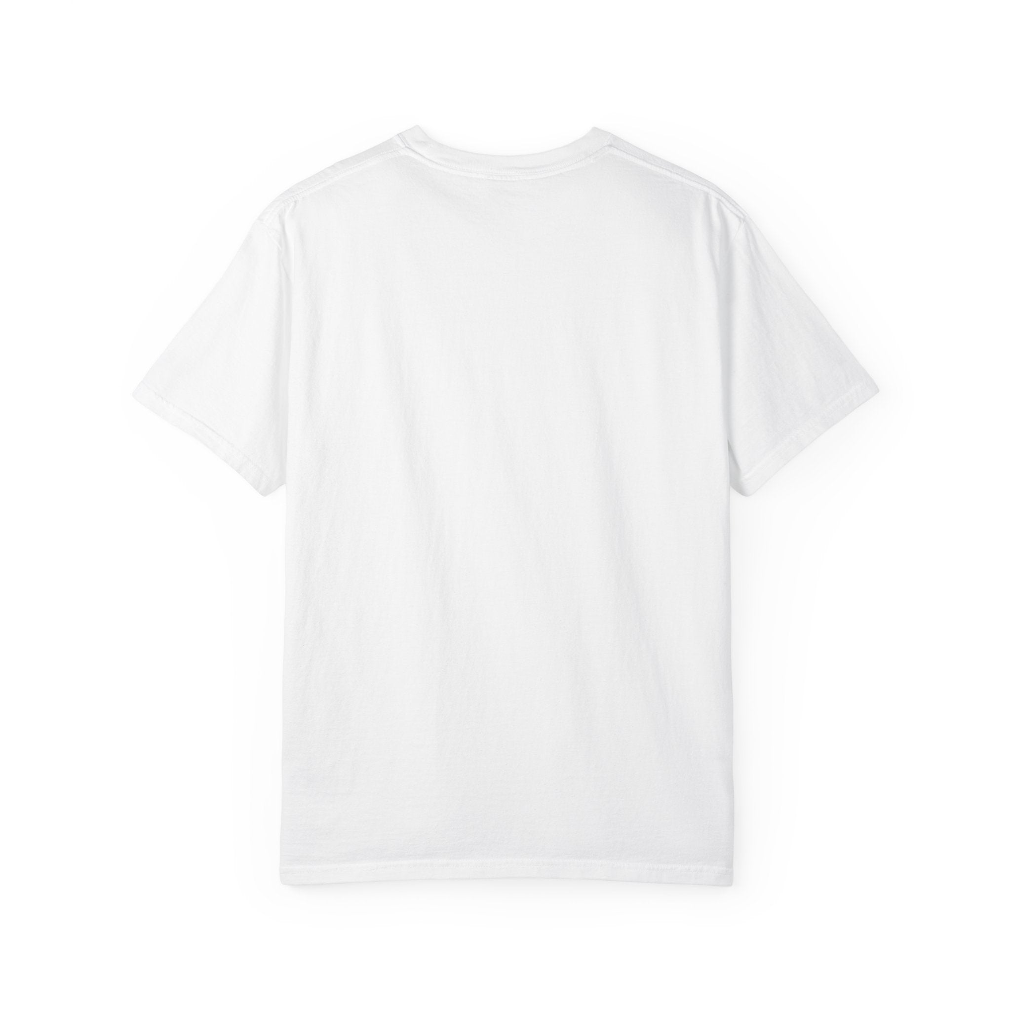 Shitting on the Front Porch Step T-Shirt