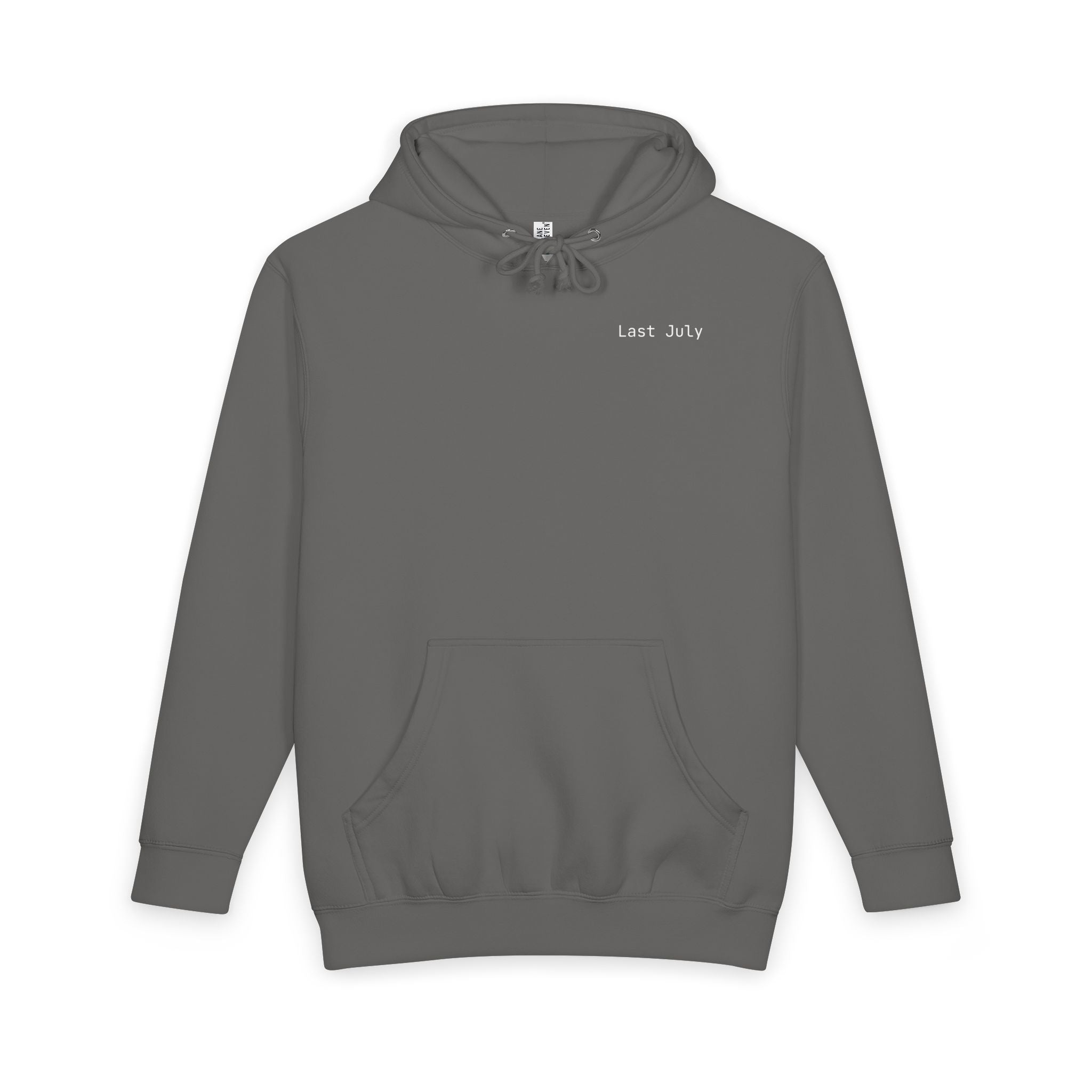 Shitting on the Front Porch Step Hoodie