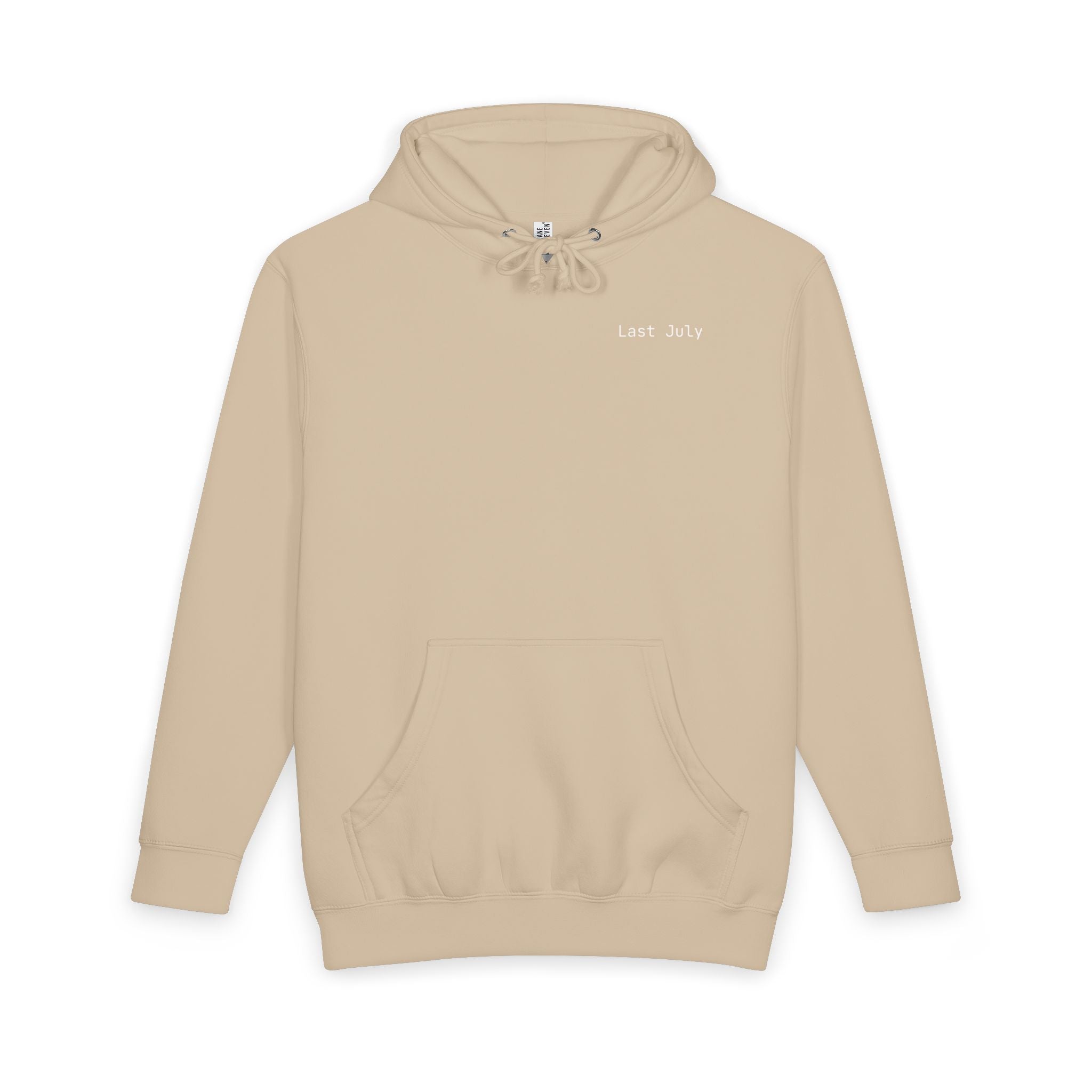 Shitting on the Front Porch Step Hoodie