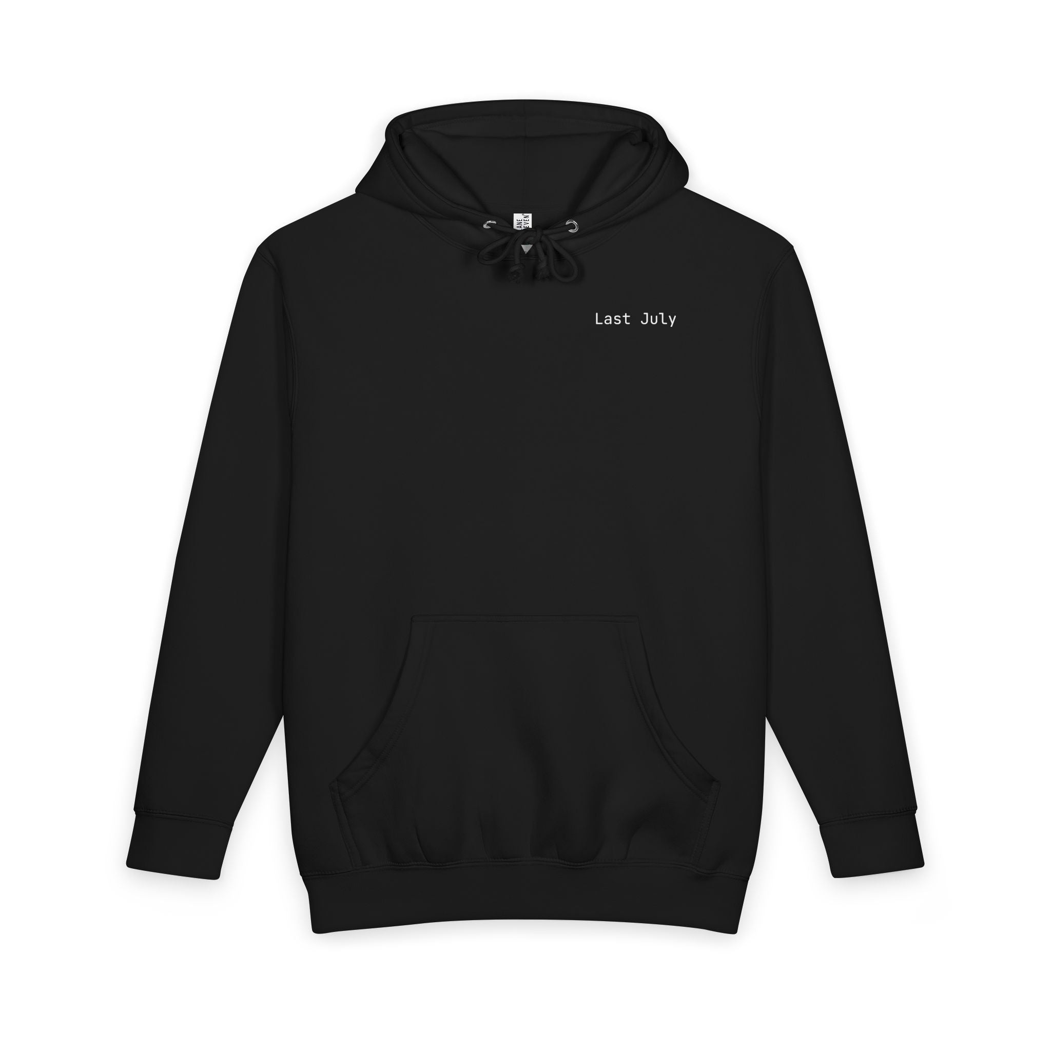 Shitting on the Front Porch Step Hoodie