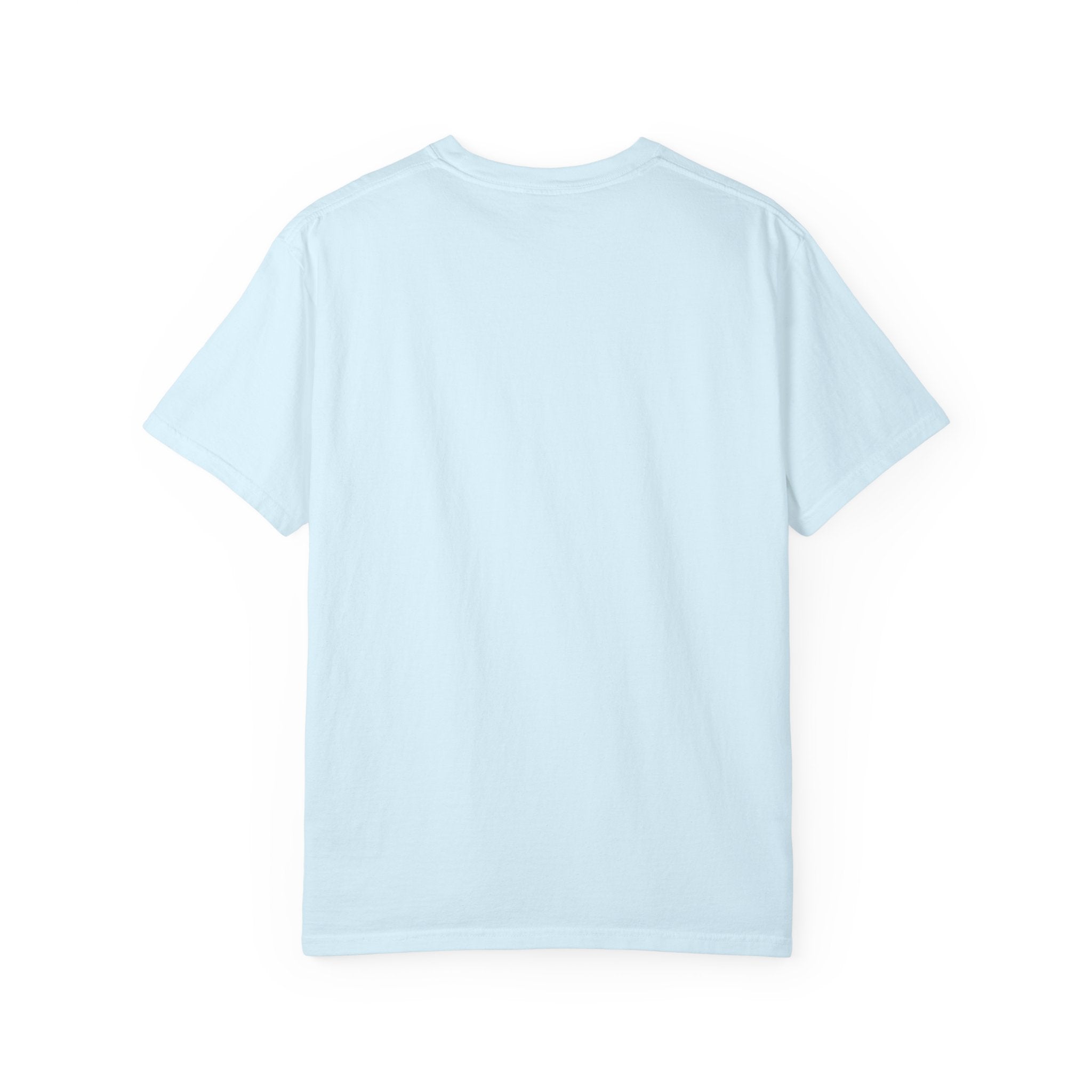 Shitting on the Front Porch Step T-Shirt