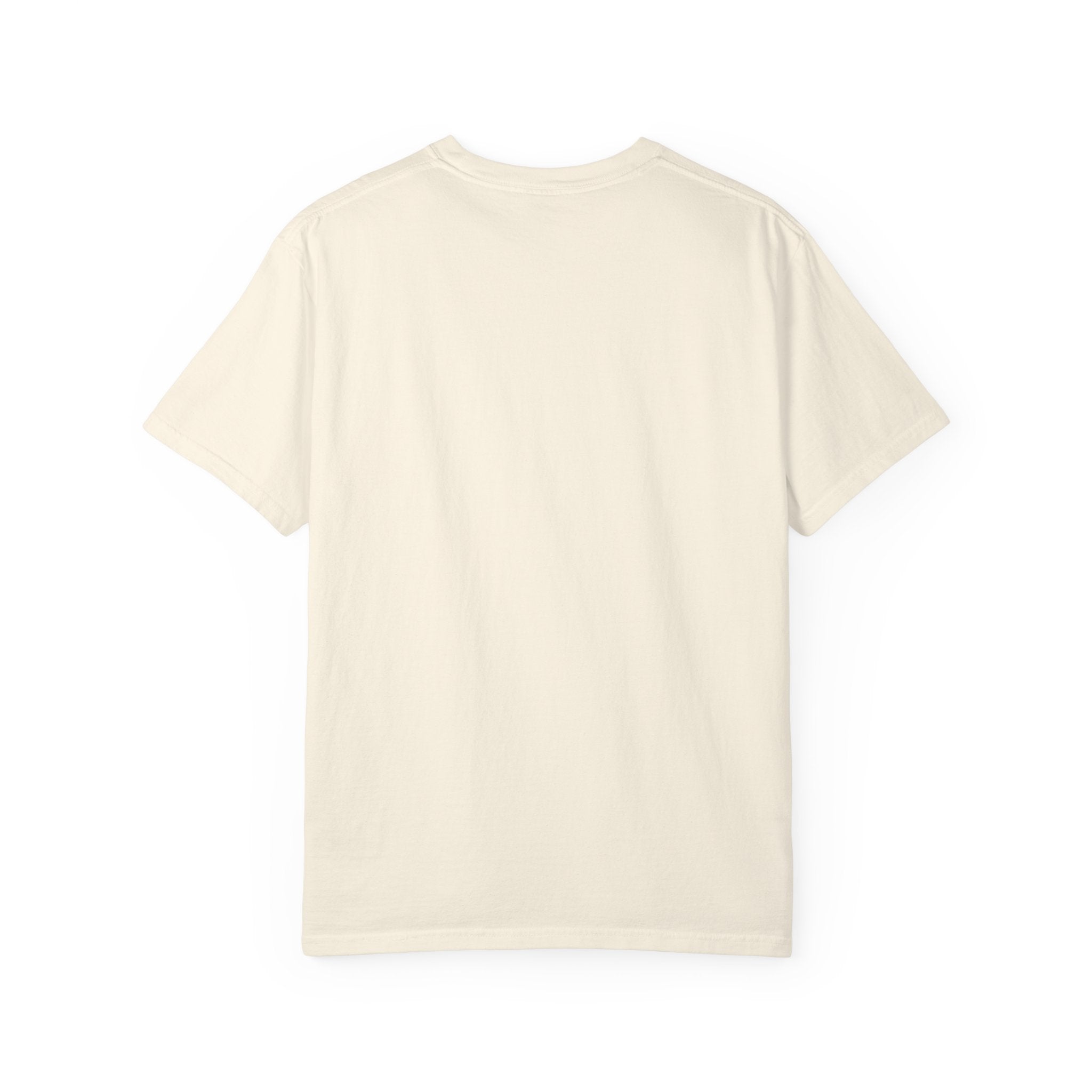 Shitting on the Front Porch Step T-Shirt